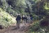 Our group on one of the nature trails we hiked.