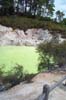 A pool at Waiotapu Thermal Springs