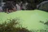 A pool at Waiotapu Thermal Springs