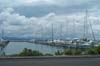 The marina at Tauranga